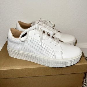 Steve Madden 7.5 Sneakers